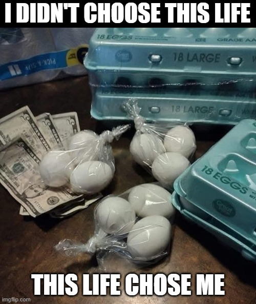 Egg Life | I DIDN'T CHOOSE THIS LIFE; THIS LIFE CHOSE ME | image tagged in egg like,egg prices,i didn't choose this life | made w/ Imgflip meme maker