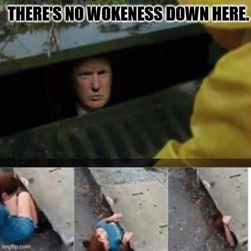 pennywise in sewer | THERE'S NO WOKENESS DOWN HERE. | image tagged in pennywise in sewer | made w/ Imgflip meme maker