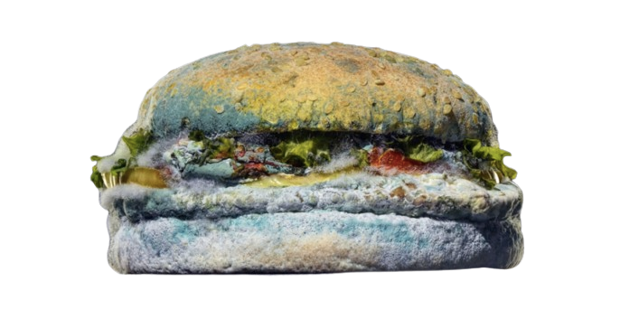 MOLDY AHH BURGER ? Blank Meme Template