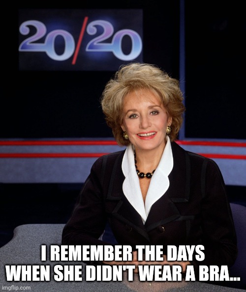 Barbara Walters 2020 | I REMEMBER THE DAYS WHEN SHE DIDN'T WEAR A BRA... | image tagged in barbara walters 2020 | made w/ Imgflip meme maker