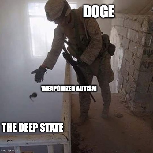 DOGE Drop | DOGE; WEAPONIZED AUTISM; THE DEEP STATE | image tagged in grenade drop | made w/ Imgflip meme maker