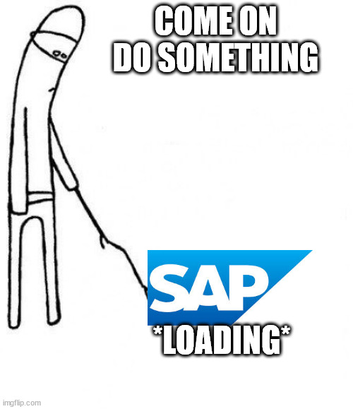 SAP noice | COME ON DO SOMETHING; *LOADING* | image tagged in c'mon do something,disappointed | made w/ Imgflip meme maker