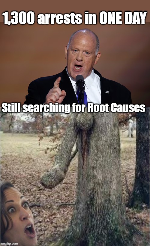 Czar VS Czar | 1,300 arrests in ONE DAY; Still searching for Root Causes | image tagged in homan kamala root causes meme | made w/ Imgflip meme maker