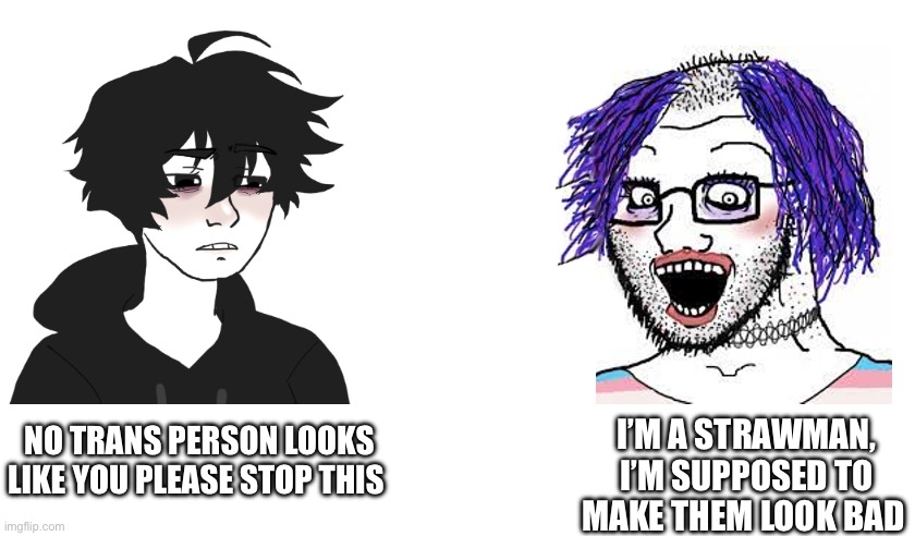 I PUT A TRANS UNDER THE SOY WOJAK THEREFORE IT US A MENTAL ILLNESS | I’M A STRAWMAN, I’M SUPPOSED TO MAKE THEM LOOK BAD; NO TRANS PERSON LOOKS LIKE YOU PLEASE STOP THIS | image tagged in transgender,strawman | made w/ Imgflip meme maker