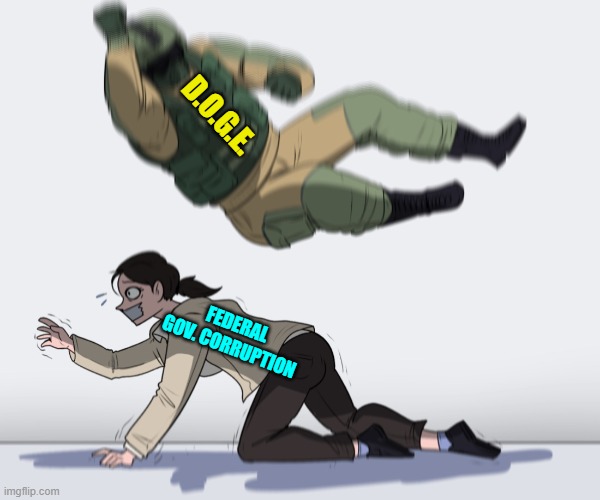 And after leftists and their corrupt RINO allies worked so hard to destabilize government. | D.O.G.E. FEDERAL GOV. CORRUPTION | image tagged in rainbow six - fuze the hostage | made w/ Imgflip meme maker