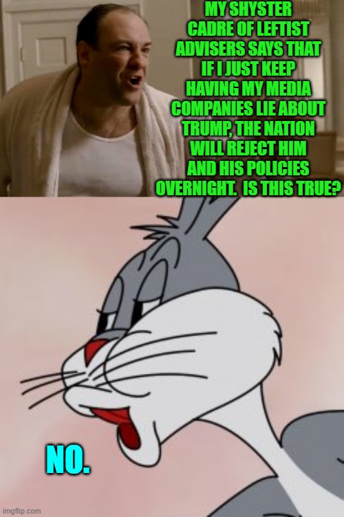 Not after the last four years of the Dem Party's insane leadership spitting on citizens. | MY SHYSTER CADRE OF LEFTIST ADVISERS SAYS THAT IF I JUST KEEP HAVING MY MEDIA COMPANIES LIE ABOUT TRUMP, THE NATION WILL REJECT HIM AND HIS POLICIES OVERNIGHT.  IS THIS TRUE? NO. | image tagged in tony soprano in this house | made w/ Imgflip meme maker