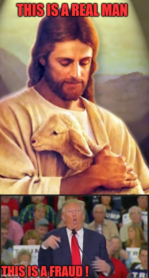 THIS IS A REAL MAN; THIS IS A FRAUD ! | image tagged in jesus was a real man,trump is a fraud | made w/ Imgflip meme maker