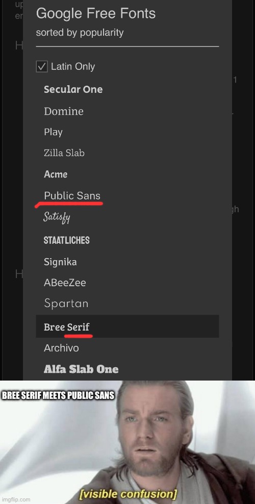 Swap the names and you get Bree Pub (LOTR) and sans, the serif of these parts | BREE SERIF MEETS PUBLIC SANS | image tagged in visible confusion | made w/ Imgflip meme maker