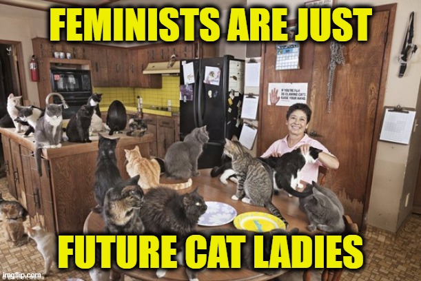 Your right to choose, children or cats? | FEMINISTS ARE JUST; FUTURE CAT LADIES | image tagged in feminism | made w/ Imgflip meme maker