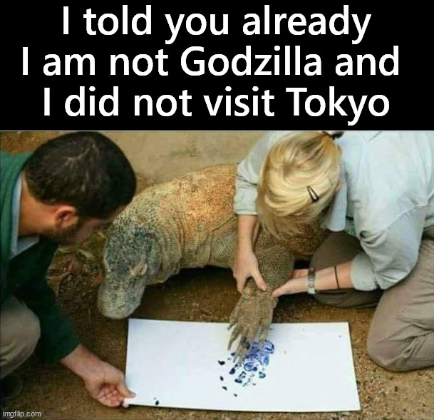 Godzilla is not amused | I told you already I am not Godzilla and 
I did not visit Tokyo | image tagged in godzilla | made w/ Imgflip meme maker