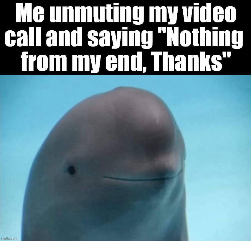 I never add anything to a video conference | Me unmuting my video call and saying "Nothing 
from my end, Thanks" | image tagged in video call | made w/ Imgflip meme maker