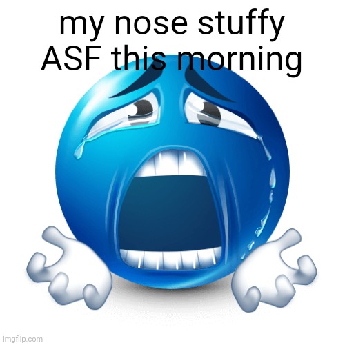 PLEASE | my nose stuffy ASF this morning | image tagged in please | made w/ Imgflip meme maker