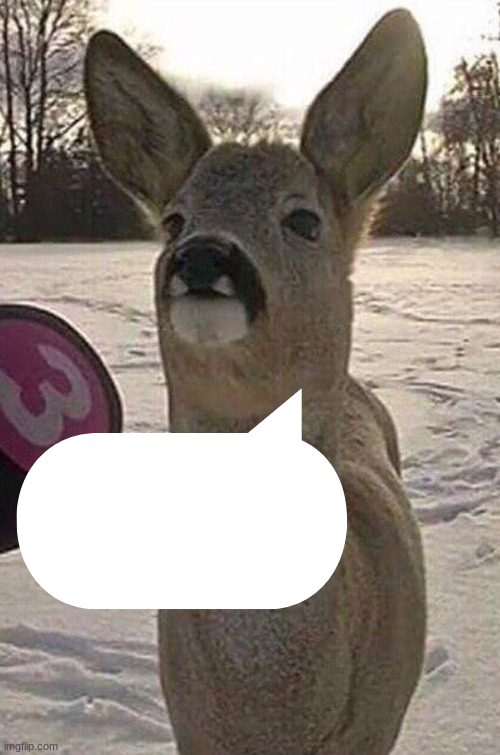 High Quality deer yap session Blank Meme Template