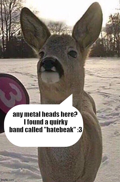 FUCK YEAHHHH (also, WTF does "Terfs" mean????) | any metal heads here? 
I found a quirky band called "hatebeak" :3 | image tagged in deer yap session | made w/ Imgflip meme maker