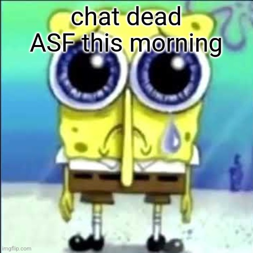 school day | chat dead ASF this morning | image tagged in sad spongebob | made w/ Imgflip meme maker