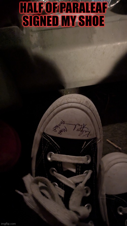 HALF OF PARALEAF SIGNED MY SHOE | image tagged in paramore,flyleaf | made w/ Imgflip meme maker