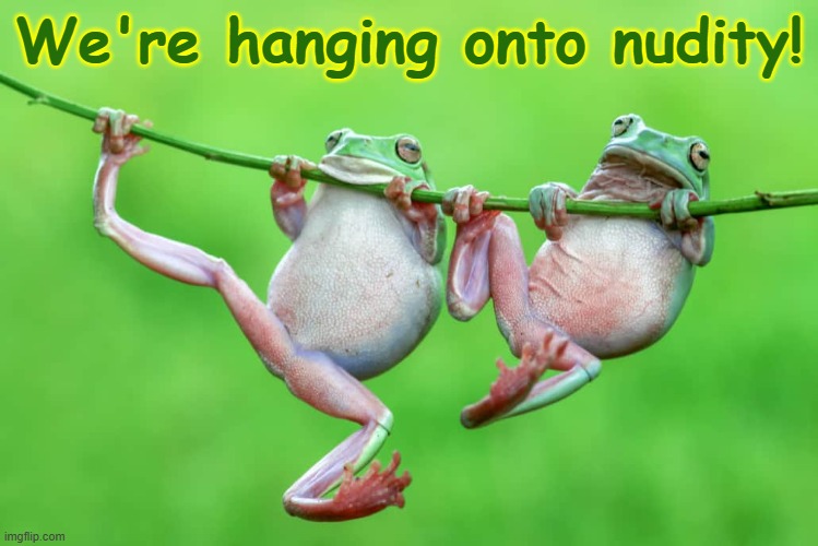 We're hanging onto nudity! | made w/ Imgflip meme maker