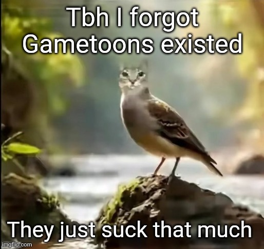 Cirb | Tbh I forgot Gametoons existed; They just suck that much | image tagged in cirb | made w/ Imgflip meme maker