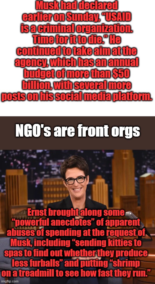 Ernst then claimed to have been threatened by USAID for asking about taxpayer-funded humanitarian efforts in Ukraine | Musk had declared earlier on Sunday, “USAID is a criminal organization. Time for it to die.” He continued to take aim at the agency, which has an annual budget of more than $50 billion, with several more posts on his social media platform. NGO's are front orgs; Ernst brought along some “powerful anecdotes” of apparent abuses of spending at the request of Musk, including “sending kitties to spas to find out whether they produce less furballs” and putting “shrimp on a treadmill to see how fast they run.” | image tagged in blank white template | made w/ Imgflip meme maker