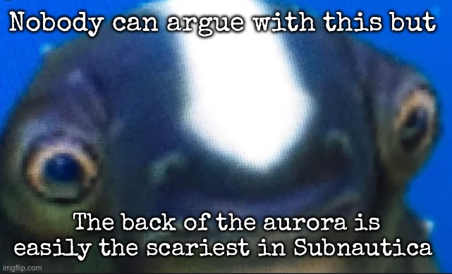 Even after going there a hundred times, you still don’t know when the reaper will appear | Nobody can argue with this but; The back of the aurora is easily the scariest in Subnautica | image tagged in subnautica seamoth cuddlefish,subnautica | made w/ Imgflip meme maker