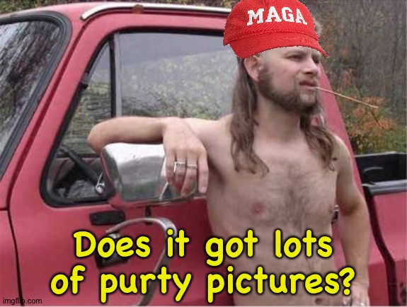 Hillbilly Mullet | Does it got lots of purty pictures? | image tagged in hillbilly mullet | made w/ Imgflip meme maker