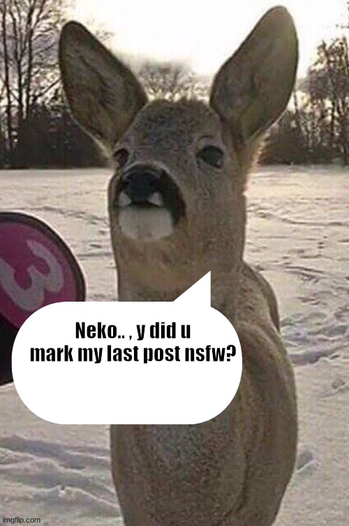 really tho? it says swearing is allowed :\ | Neko.. , y did u mark my last post nsfw? | image tagged in deer yap session | made w/ Imgflip meme maker