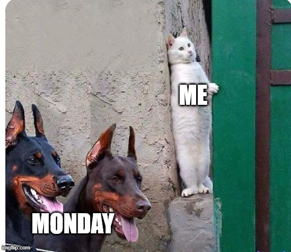 Hiding from Monday | ME; MONDAY | image tagged in hidden cat | made w/ Imgflip meme maker