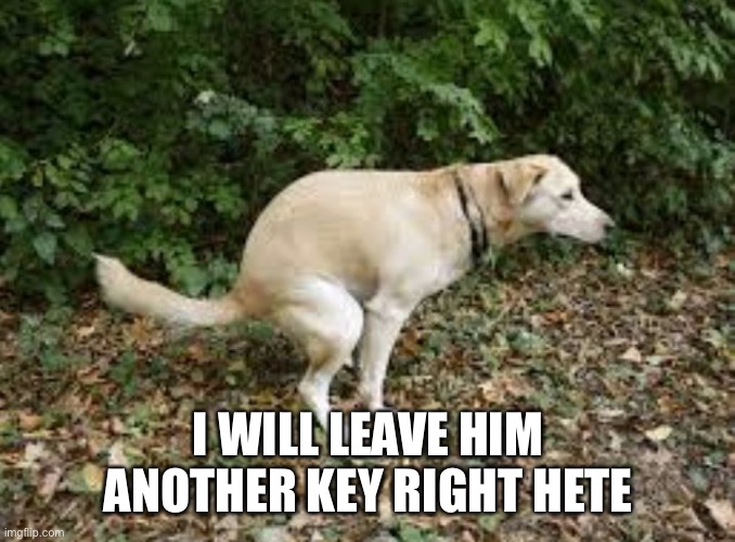 Dog pooping  | I WILL LEAVE HIM ANOTHER KEY RIGHT HERE | image tagged in dog pooping | made w/ Imgflip meme maker