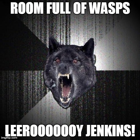 Insanity Wolf | ROOM FULL OF WASPS LEEROOOOOOYJENKINS! | image tagged in memes,insanity wolf | made w/ Imgflip meme maker