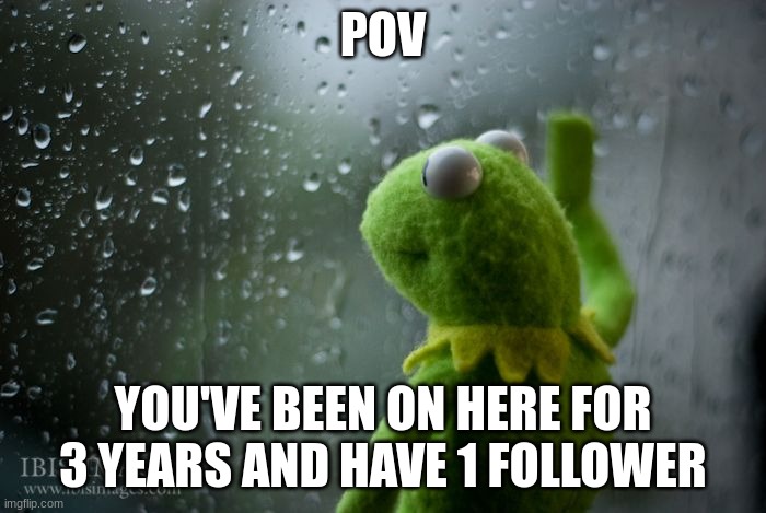 please? | POV; YOU'VE BEEN ON HERE FOR 3 YEARS AND HAVE 1 FOLLOWER | image tagged in kermit window,kermit the frog,followers,follow,follow me | made w/ Imgflip meme maker