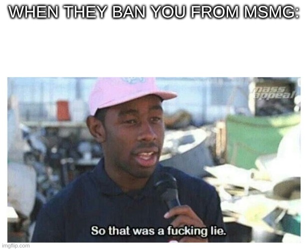 So That Was A F---ing Lie | WHEN THEY BAN YOU FROM MSMG: | image tagged in so that was a f---ing lie | made w/ Imgflip meme maker