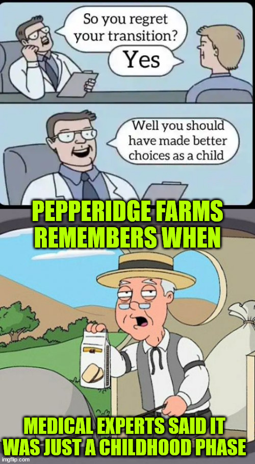 Just say NO to mutilation of children | PEPPERIDGE FARMS
REMEMBERS WHEN MEDICAL EXPERTS SAID IT WAS JUST A CHILDHOOD PHASE | image tagged in memes,pepperidge farm remembers,experts,it is a childhood phase,that they will grow out of | made w/ Imgflip meme maker