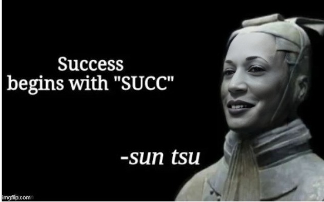 I'm missin her | image tagged in kamala success meme | made w/ Imgflip meme maker