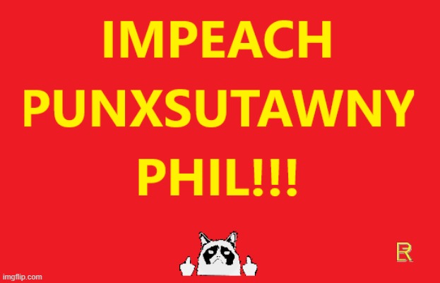 IMPEACH PUNXSUTAWNY PHIL!!! | image tagged in winter,snow,yuck | made w/ Imgflip meme maker