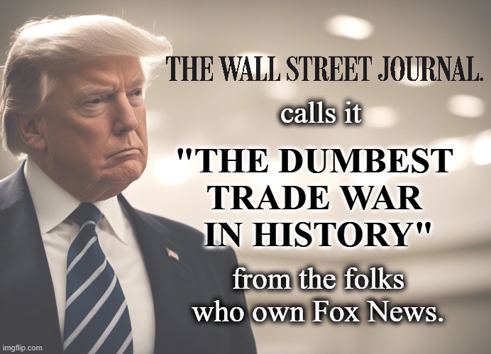 calls it; "THE DUMBEST 
TRADE WAR 
IN HISTORY"; from the folks who own Fox News. | image tagged in trump,wall street journal,dumb,trade,war | made w/ Imgflip meme maker