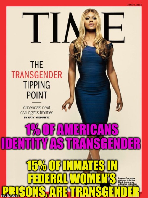 Why are so many transgender women convinced criminals? | 1% OF AMERICANS IDENTITY AS TRANSGENDER; 15% OF INMATES IN FEDERAL WOMEN’S PRISONS, ARE TRANSGENDER | image tagged in gifs,transgender,prison,hoax,criminals,woke | made w/ Imgflip meme maker