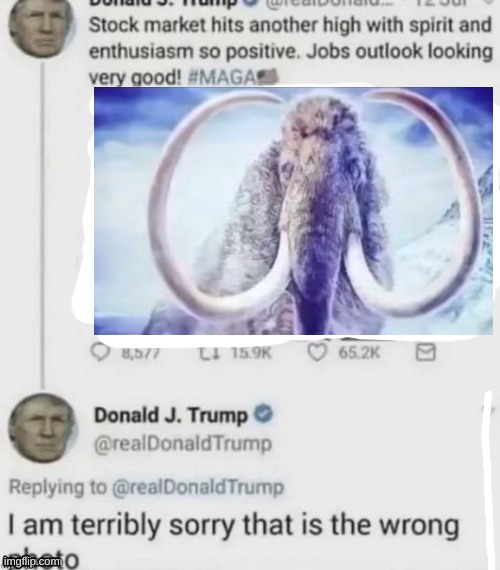 Trump wrong photo | image tagged in trump wrong photo | made w/ Imgflip meme maker