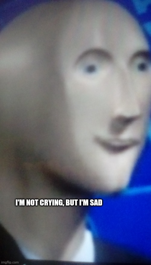 Stonk man head | I'M NOT CRYING, BUT I'M SAD | image tagged in stonk man head | made w/ Imgflip meme maker