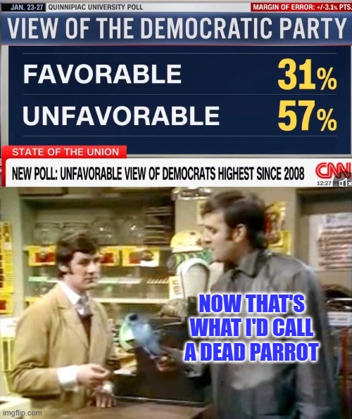 It's a Stiff, Bereft of Life, It Rests in Peace | NOW THAT'S WHAT I'D CALL A DEAD PARROT | image tagged in monty python dead parrot | made w/ Imgflip meme maker