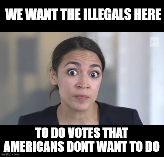 Crazy Alexandria Ocasio-Cortez | TO DO VOTES THAT AMERICANS DONT WANT TO DO WE WANT THE ILLEGALS HERE | image tagged in crazy alexandria ocasio-cortez,corruption | made w/ Imgflip meme maker