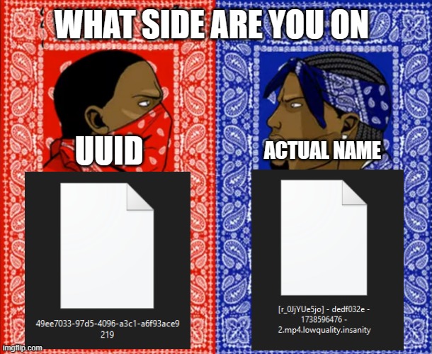 bloods crips | WHAT SIDE ARE YOU ON; UUID; ACTUAL NAME | image tagged in bloods crips | made w/ Imgflip meme maker