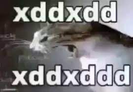 Xddxdd | image tagged in xddxdd | made w/ Imgflip meme maker