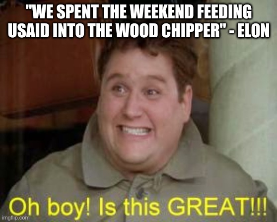 DOGE at work | "WE SPENT THE WEEKEND FEEDING USAID INTO THE WOOD CHIPPER" - ELON | image tagged in doge,elon,bye bye | made w/ Imgflip meme maker