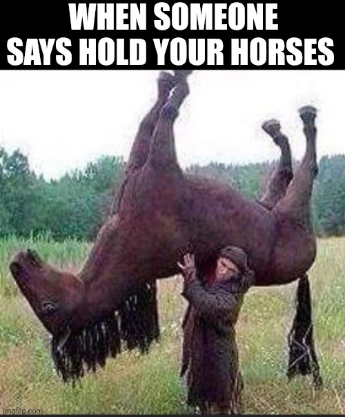 When Someone Says Hold Your Horses | WHEN SOMEONE SAYS HOLD YOUR HORSES | image tagged in chris joines | made w/ Imgflip meme maker