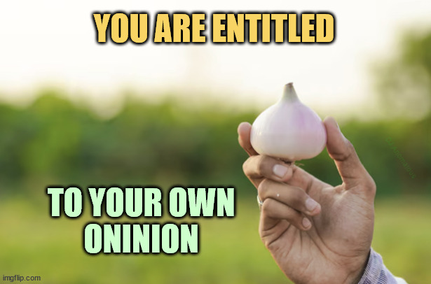 YOU ARE ENTITLED TO YOUR OWN
ONINION DJ Anomalous | made w/ Imgflip meme maker