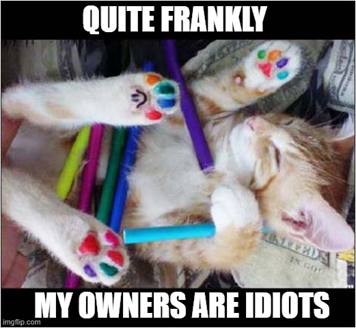 Painted Toe Beans ! | QUITE FRANKLY; MY OWNERS ARE IDIOTS | image tagged in cats,painted,toes | made w/ Imgflip meme maker