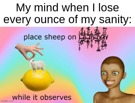 P U T  T H E  S H E E P  O N  T H E  D A M N  L E M O N | My mind when I lose every ounce of my sanity: | image tagged in place sheep on lemon while it observes | made w/ Imgflip meme maker