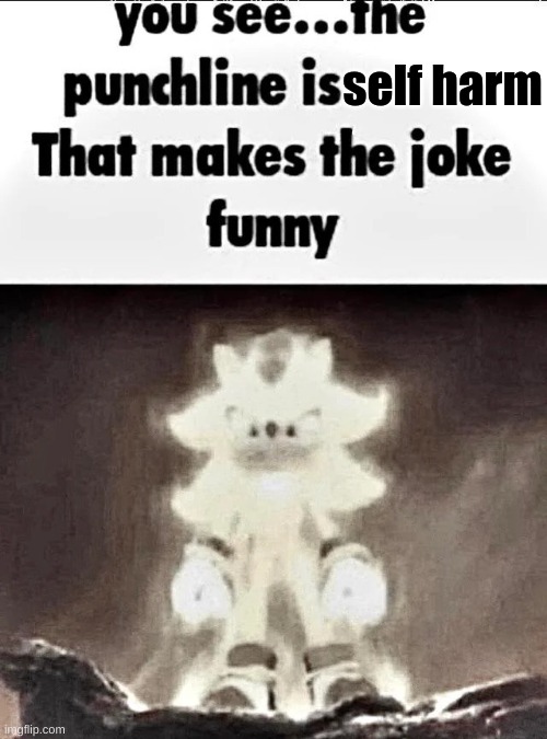 Shadow explains the joke | self harm | image tagged in shadow explains the joke | made w/ Imgflip meme maker