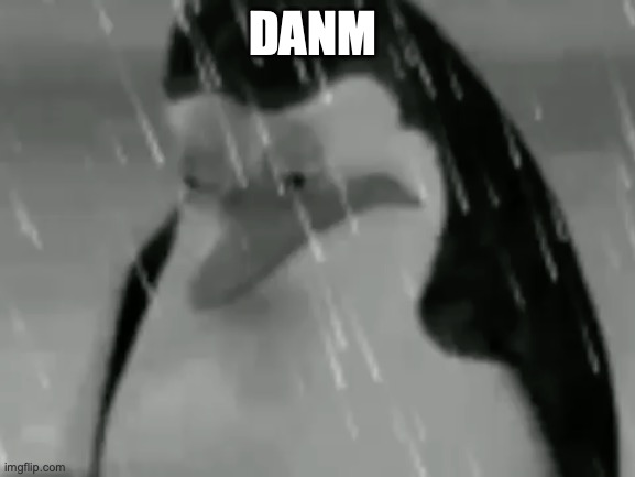 Sadge | DANM | image tagged in sadge | made w/ Imgflip meme maker