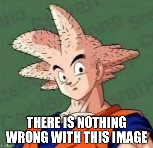 read the meme not the fkin title | THERE IS NOTHING WRONG WITH THIS IMAGE | image tagged in goku,memes,funny,funny memes | made w/ Imgflip meme maker